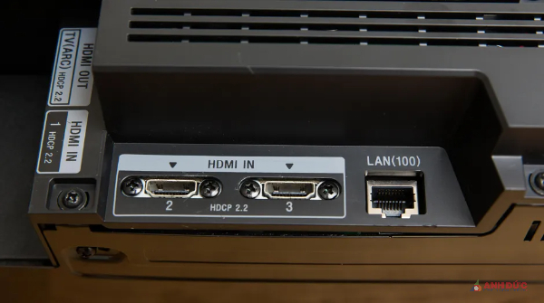 HDMI và ARC là những cổng kết nối cơ bản
