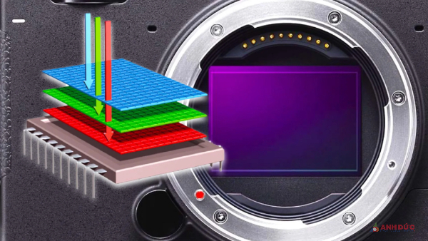Cảm biến Foveon có cấu trúc mới cho phép thu nhận màu sắc theo cách đặc biệt