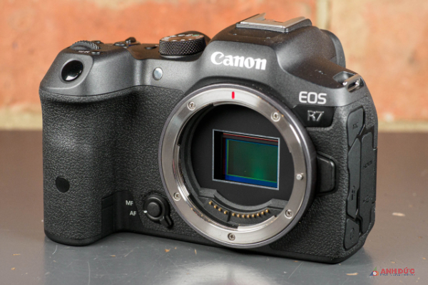 Canon EOS R7 kế thừa những điểm mạnh mẽ nhất từ cả 2 dòng máy EF và RF