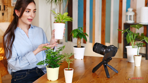Ống kính phù hợp cho việc quay Vlog hoặc phỏng vấn